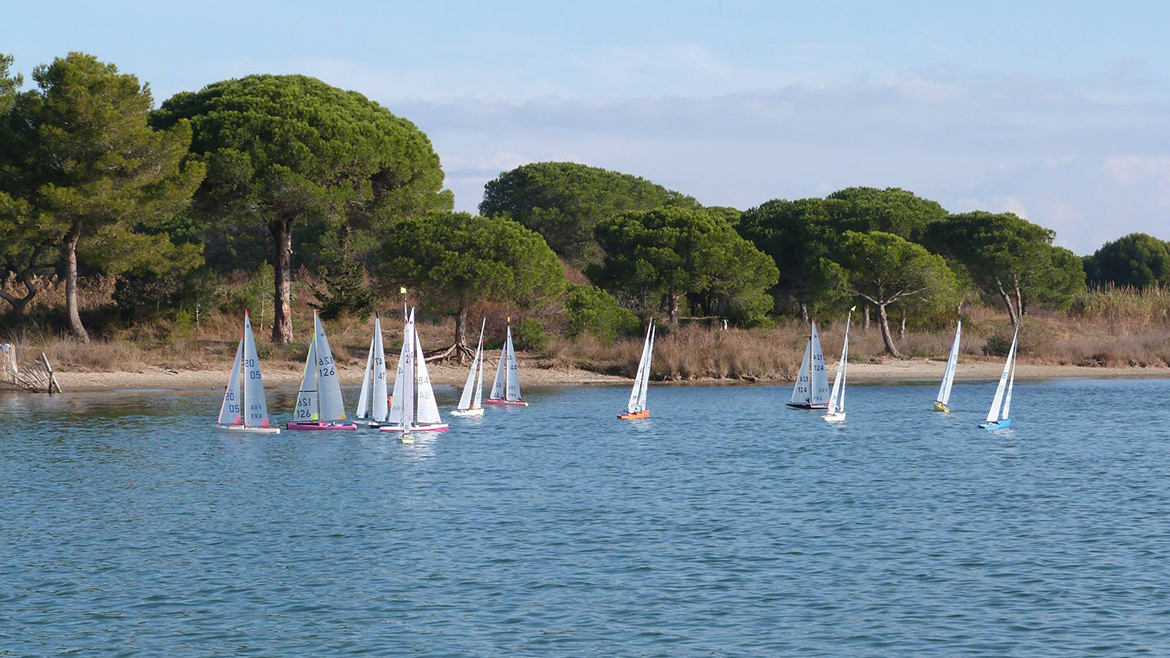 Voile Radio Commandée